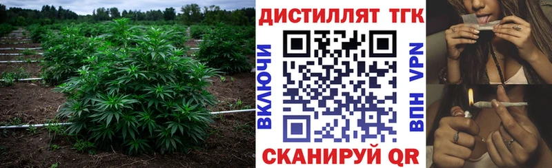ТГК THC oil  Каргат 
