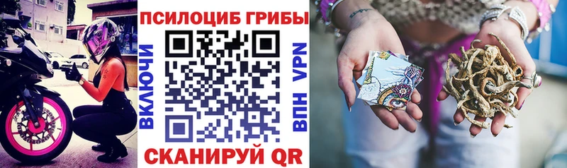 кракен зеркало  Каргат  Псилоцибиновые грибы Magic Shrooms 